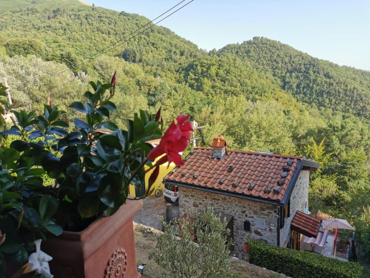 Deliziosa Casetta Sull'Appennino Toscano Montefegatesi Exterior foto